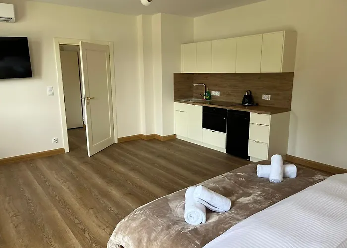 Leśna Przystań Kazub Nr 2 Apartament